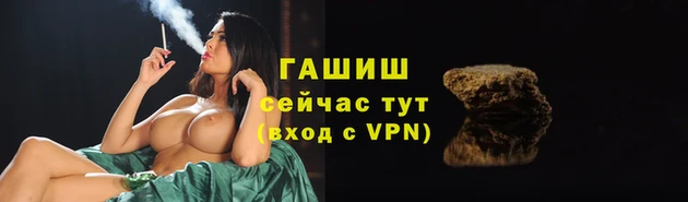 мяу мяу мука Абаза
