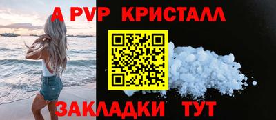 спиды Кингисепп