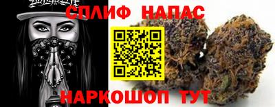 спиды Кингисепп