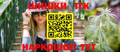 спиды Кингисепп
