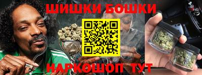 спиды Кингисепп