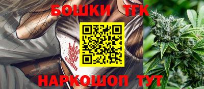 спиды Кингисепп