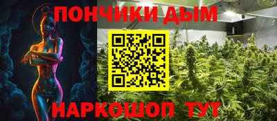 спиды Кингисепп
