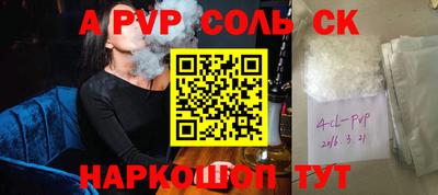 спиды Кингисепп