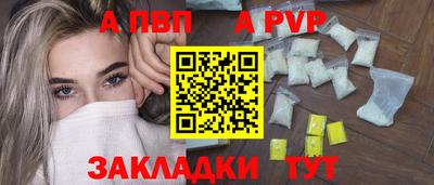 спиды Кингисепп