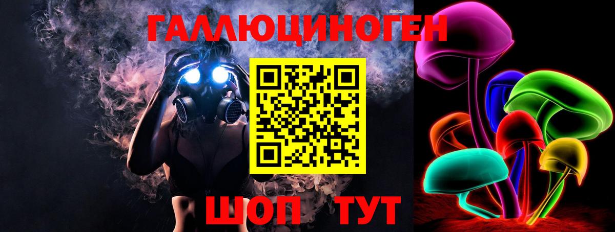 Псилоцибиновые грибы мицелий Краснодар